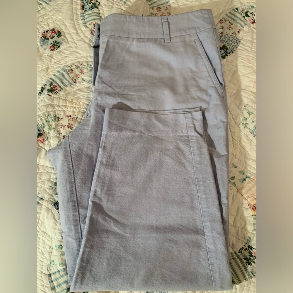 J. Crew Baby Blue Crop Chino Size 14